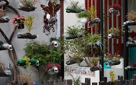 Hue Eco Homestay